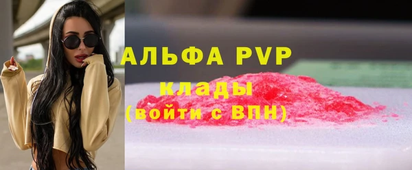СК Надым