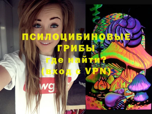 СК Надым