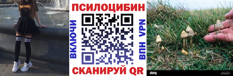 Псилоцибиновые грибы Psilocybine cubensis  наркотики  Заречный 