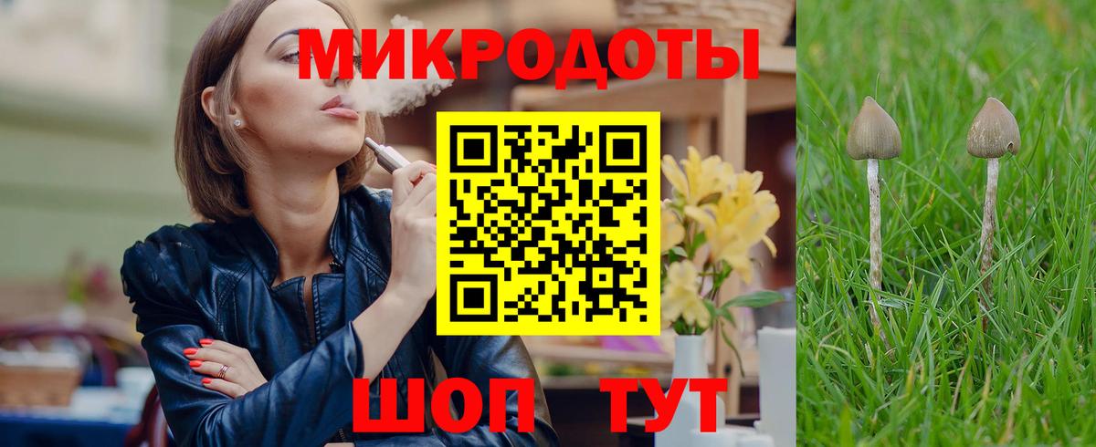 Галлюциногенные грибы Psilocybine cubensis  Вход с VPN  Заречный 
