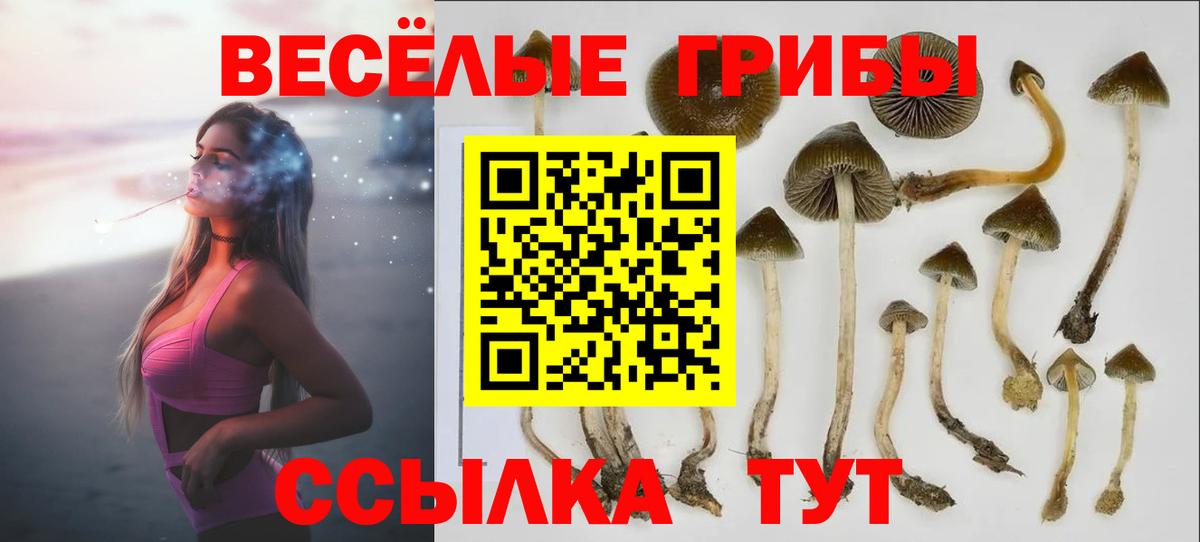 Галлюциногенные грибы мицелий Заречный