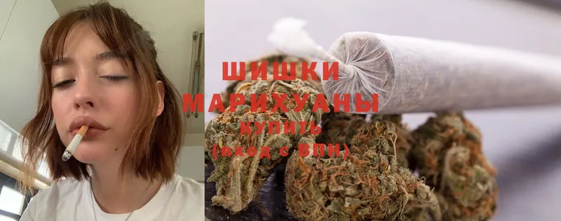 Бошки марихуана Amnesia  Заречный 